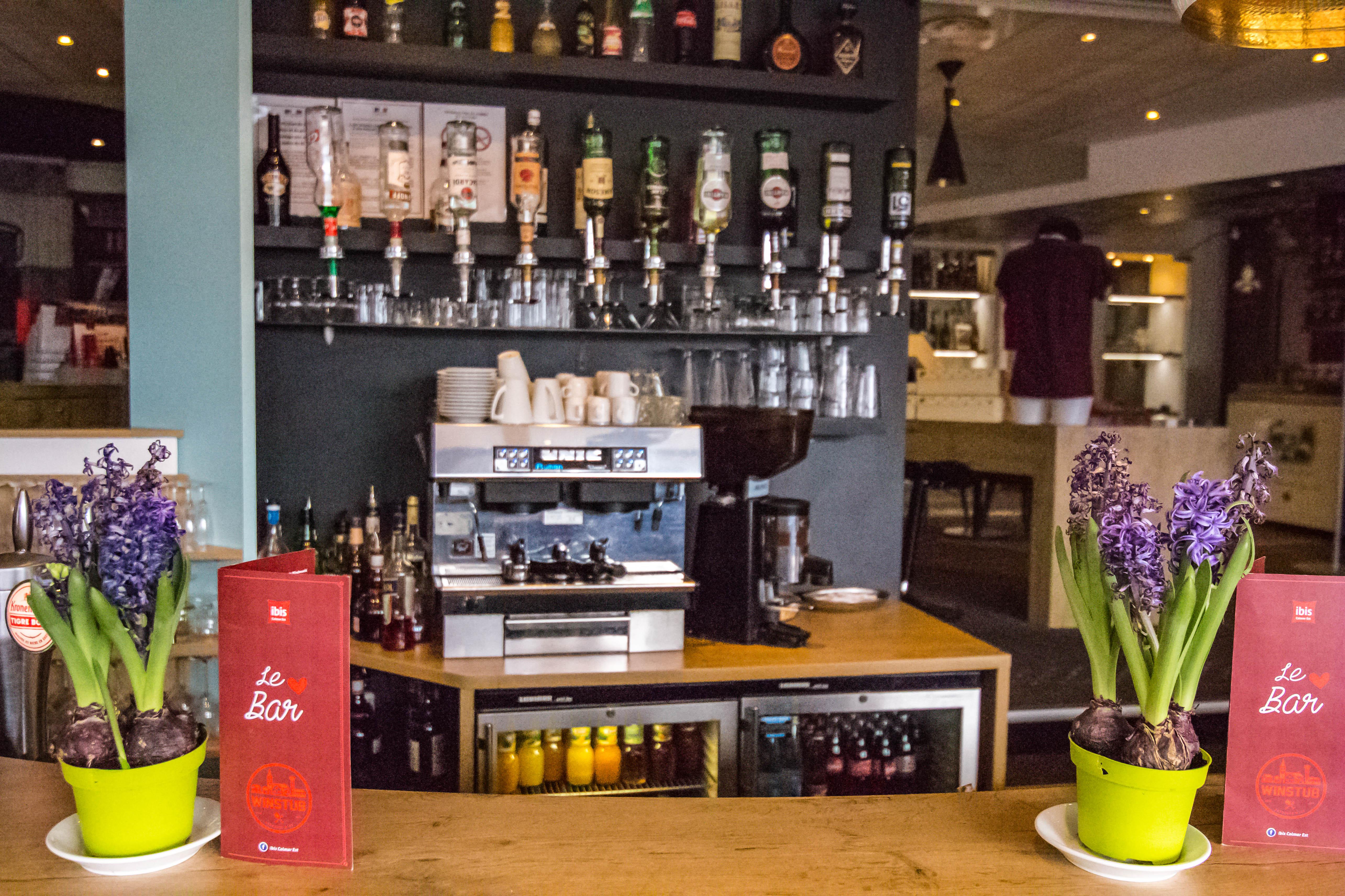 Ibis Colmar Est - Hotel Restaurant En Alsace Horbourg-Wihr Exterior photo